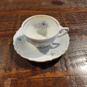 Vintage Winterling Bavarian china Teacup and Saucer SetPattern #124 Green Floral